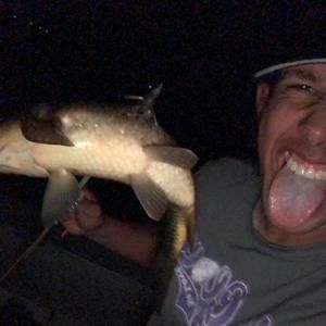 Meet your Posher, Jay